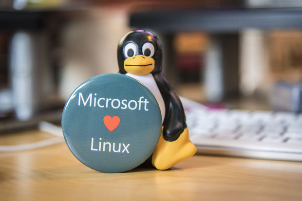 Microsoft loves Linux