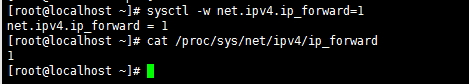 ip_forward
