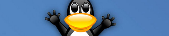 在 Linux 下使用任务管理器