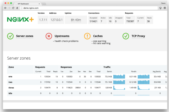 nginx-plus