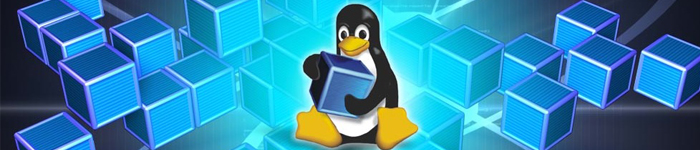 Linux 开发商计划停止开发32位版本