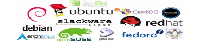 Linux专家心目中的最佳Linux发行版有哪些?