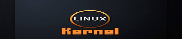 Linux 4.9将是下一个LTS版