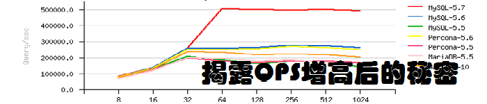 揭露QPS增高后的秘密