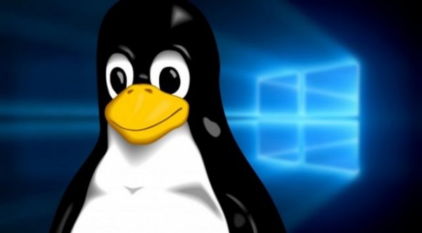 Linux基金会：微软现在无法杀死Linux