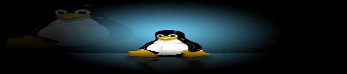 Linux Kernel 4.8.11版本发布