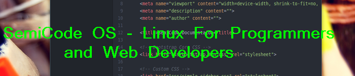 SemiCode OS面世