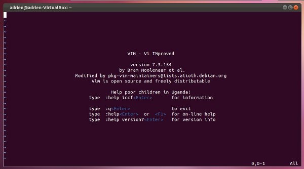 Vim 初学者入门指南