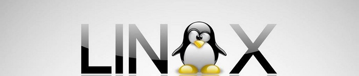 原来Linux这么牛：称霸全球超级电脑 500 强！