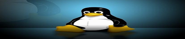 Linux 调试器之高级主题！