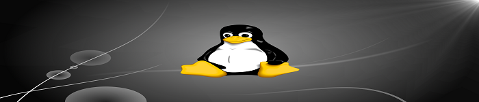 安装前配置的 Linux！