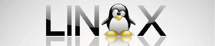 Linux下如何使用五笔和拼音,区位输入法