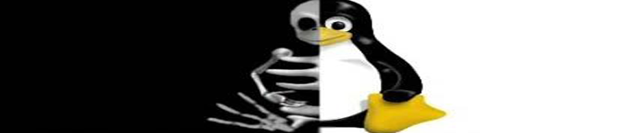 Linux下如何实现与Internet时间同步