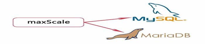 详解：MaxScale中间件部署数据库读写分离