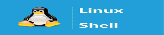 如何用Bash 脚本实现每次登录到 Shell 时可以查看 Linux 系统信息