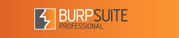 《BurpSuite 实战指南》pdf电子书免费下载