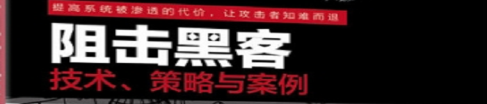 《 阻击黑客：技术、策略与案例》pdf电子书免费下载