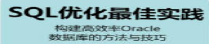 《SQL优化最佳实践 构建高效率Oracle数据库的方法与技巧》pdf电子书免费下载