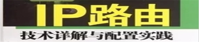 《IP路由技术详解与配置实践》pdf电子书免费下载