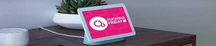 搭载 Fuchsia OS 设备出现在 Google 发布会上