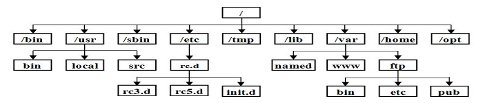 Linux查看分区文件系统类型的几种方法