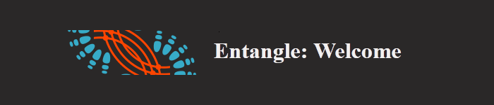 Entangle 2.0 “Sodium”正式发布