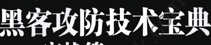 《黑客攻防技术宝典Web实战篇》pdf电子书免费下载