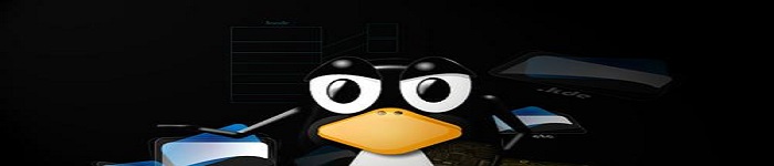 linux的分区方法