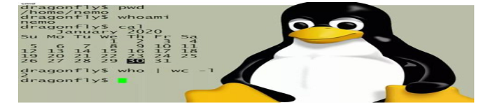 Linux用户和组管理常用命令