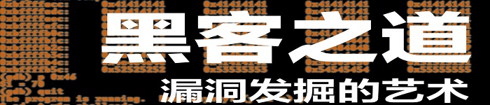 《黑客之道 漏洞发掘的艺术 第2版》pdf电子书免费下载