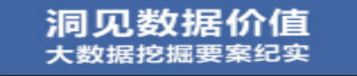 《洞见数据价值：大数据挖掘要案纪实》pdf电子书免费下载