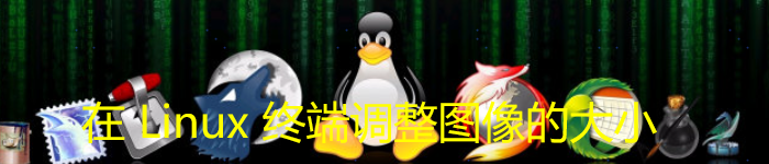 在 Linux 终端调整图像的大小