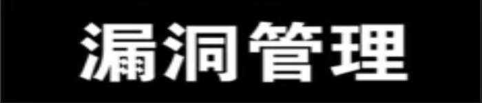 《漏洞管理》pdf电子书免费下载