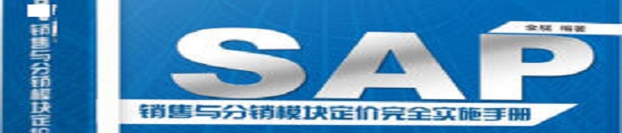 《SAP 销售与分销模块定价完全实施手册》 pdf电子书免费下载