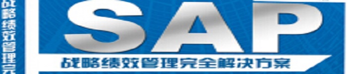 《SAP战略绩效管理完全解决方案》pdf电子书免费下载