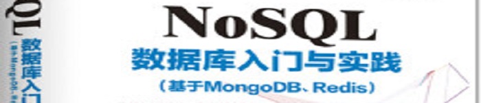 《NoSQL数据库入门与实践》pdf电子书免费下载