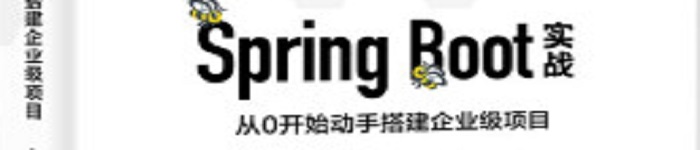 《Spring Boot实战：从0开始动手搭建企业》pdf电子书免费下载