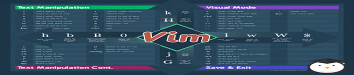 vim跳转到本行末尾