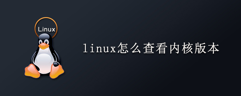 Linux的内核版本号怎么看呢？一起怎么查看呢