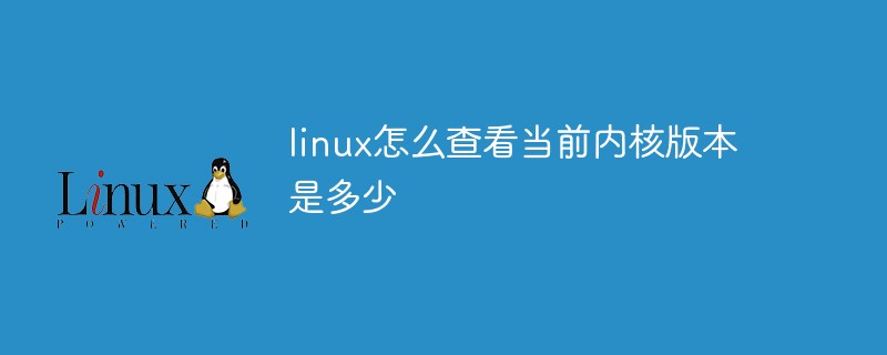 轻松查看Linux操作系统版本：掌握uname命令的基础知识