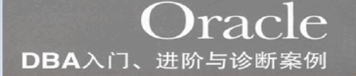 《深入解析Oracle》pdf电子书免费下载