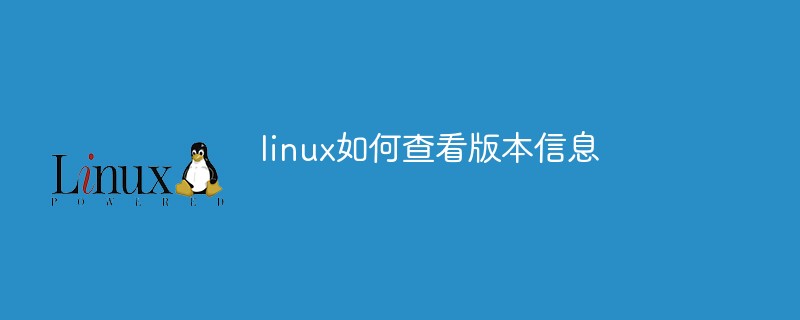 如何查看Linux内核版本信息？3种方法教你解决