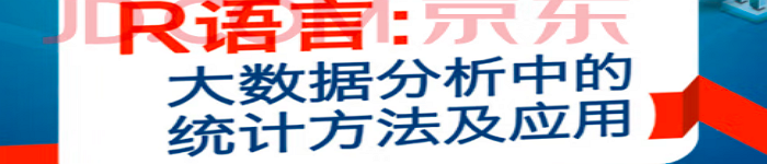 《R语言：大数据分析中的统计方法及应用》pdf电子书免费下载