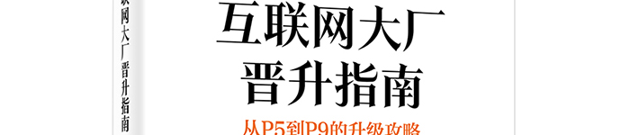 《互联网大厂晋升指南：从P5到P9的升级攻略》pdf电子书免费下载