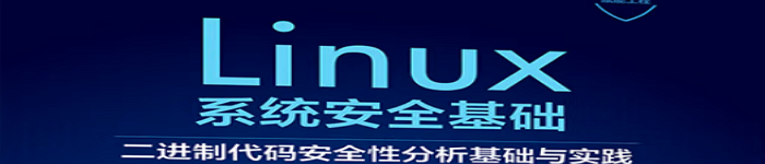 《Linux系统安全基础：二进制代码安全性分析基础与实践》pdf电子书免费下载