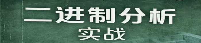 《二进制分析实战 》pdf电子书免费下载