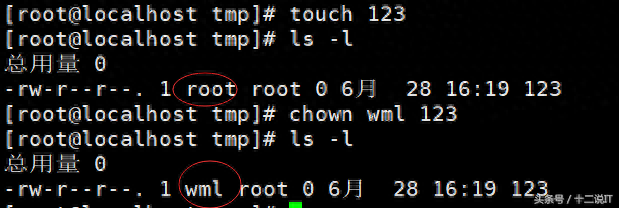 root用户所在组2229文件大小修改日期文件