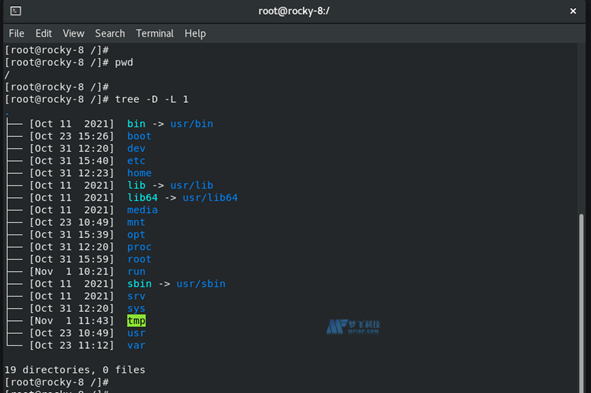 理解Linux文件系统树的完整指南