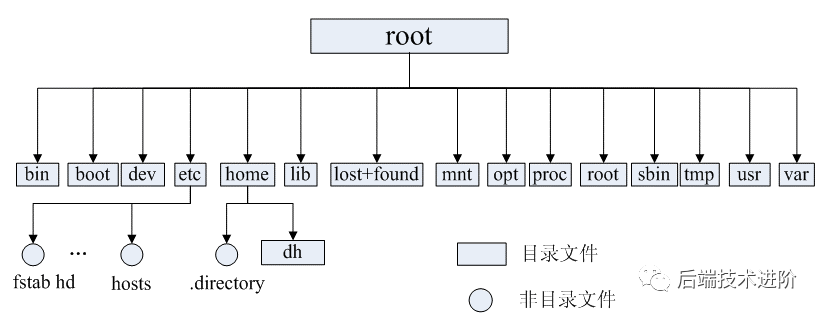 怎么查看linux操作系统版本_linux查看操作系统版本号_查看系统版本linux命令