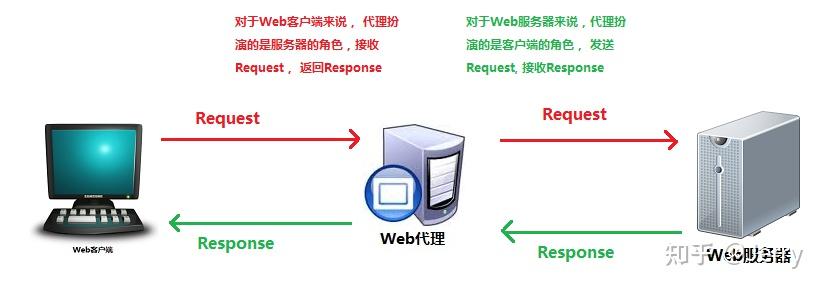 代理器服务设置_代理器服务出现问题_linux dns代理服务器